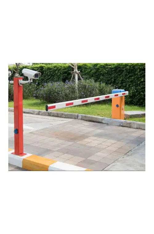 Pic1